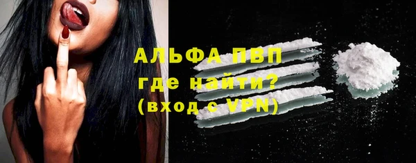 spice Богородицк