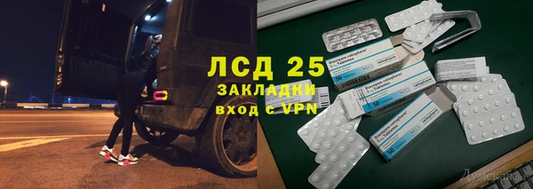 spice Богородицк