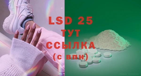 spice Богородицк