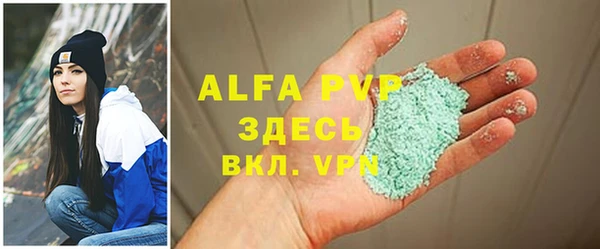 прущий лед Богданович