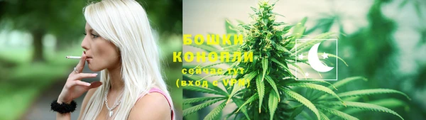 spice Богородицк