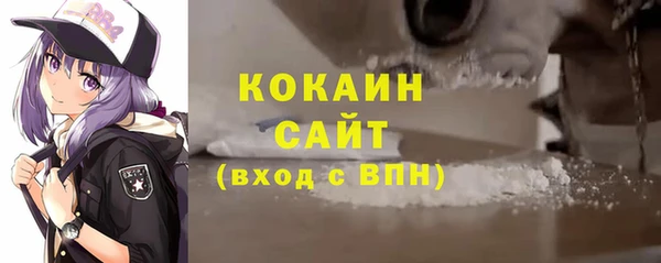 spice Богородицк
