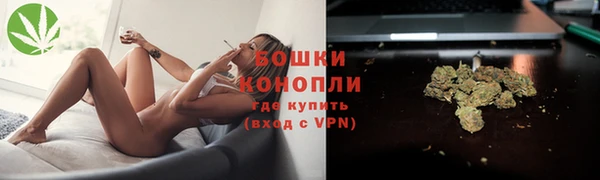 spice Богородицк