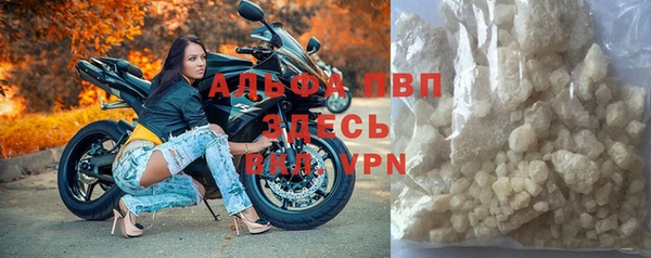 spice Богородицк