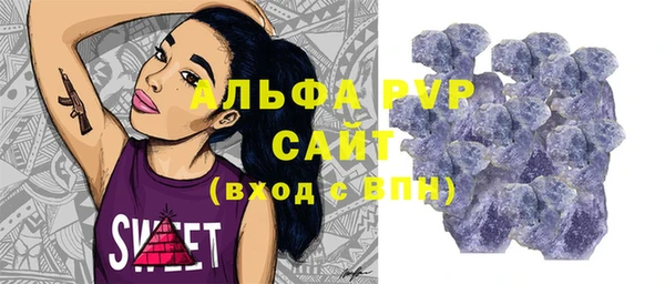 прущий лед Богданович
