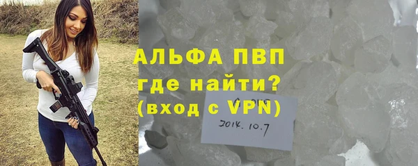 spice Богородицк