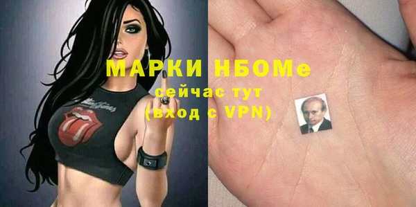 прущий лед Богданович