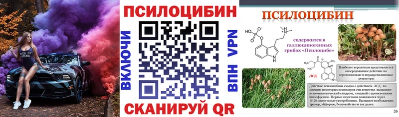 Купить  Бабаево  Псилоцибиновые грибы Magic Shrooms 